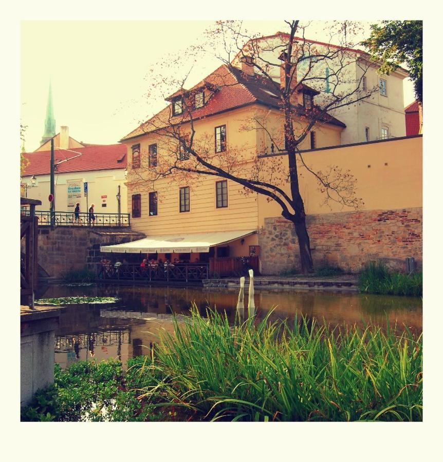 Apartmany V Mlynske Strouze Pilsen Exterior foto
